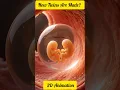 Download Lagu Hoe worden tweelingen geboren? | Identieke versus twee-eiige tweelingen uitgelegd in 30 seconden