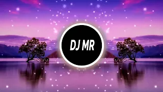 ريمكس هيثم يوسف متريدني لاتريد بس قلبي لاتعذبه DJ MR 