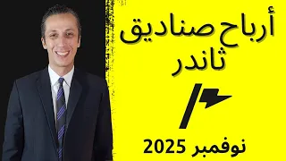 تحليل شامل أداء صناديق ثاندر حتى نوفمبر 2025 بالأرقام 