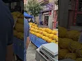 Download Lagu turkey #bazar 🇹🇷 #I bought a sweet melon.#mashallah #turkiye #pazar #turkiye #pazar