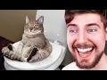 Download Lagu Impossible Try Not To Laugh Challenge!