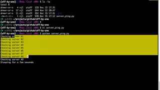What an off by one error looks like in Python