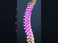 Where Do Spinal Compression Fractures Most Frequently Occur