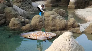 There are so many pearls here, I'm going to be rich!