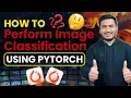 How to perform Image Classification using PyTorch iNeuron