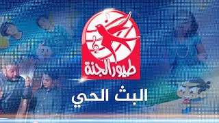 طيور الجنة مباشر                      دندنها