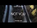Download Lagu DJ Milu Remix- not you - alanwaker (new remix)