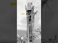 Download Lagu The fake trees of World War I
