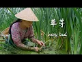 Download Lagu Jianshui Ivory Buds – The Water Delicacy of Southern Yunnan【滇西小哥】