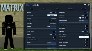 I Got Banned Unbanned in Der hood While using Matrix Hub Silent Aim