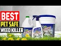 Top 5 Best Pet Safe Weed Killer for Your Yard in 2025