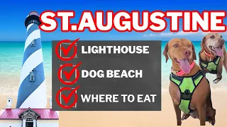 St Augustine Best Places to Eat Dog Friendly Beach and Lighthouse Tour