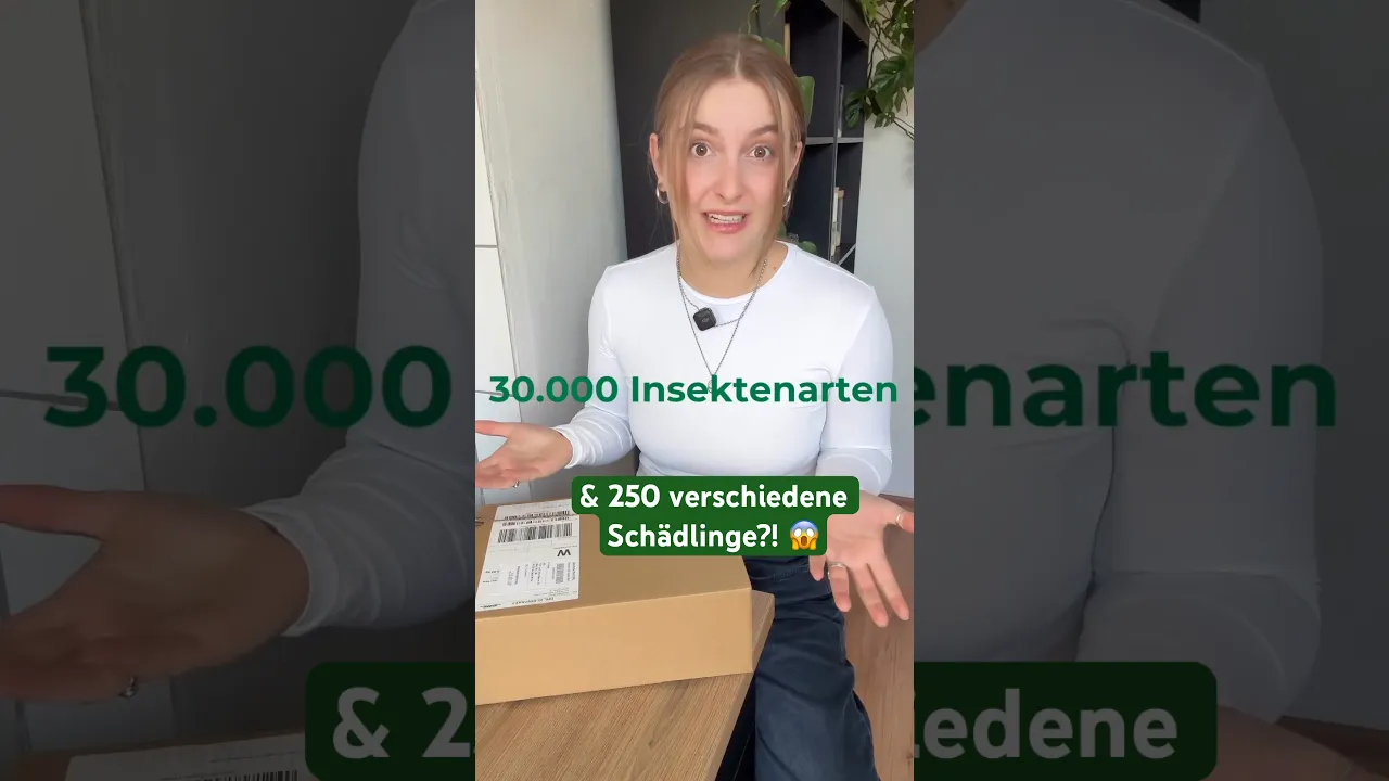 Schädlinge im Haushalt oder Garten: Wie viele Arten gibt es wirklich und wann ist Hochsaison? 🤔