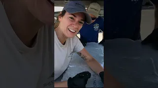 Fixing our REEF DAMAGED sailboat. Can we save her? #liveaboardlife #boatinglifestyle #boatingworld