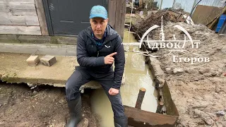 Homestead Projects & Bottle Beekeeping Update