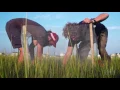 Trophic Cascades in Salt Marsh Ecosystems HHMI BioInteractive