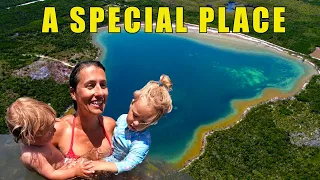 The Healing Pond Cat Island [E331]