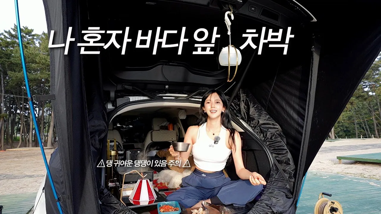 환상적인 오션뷰 캠핑장 강아지와 낭만 가득 솔로차박 꼬리텐트로 가벼운 차박 즐기기 솔로캠핑 경탁주와 수육 Camping ASMR サムネイル