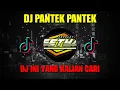 Download Lagu DJ PANTEK PANTEK x CEPAK CEPAK JEDER TIKTOK VIRAL | DJ PANTEK PANTEK TERBARU 2022