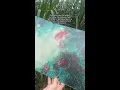 Download Lagu Nothing ever beats a well thought through compilation record…Here’s one of our favourites by @lu.mp4