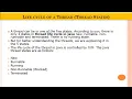 Life Cycle of Thread