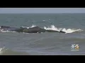 Father Dies Saving Son From Drowning In Atlantic City