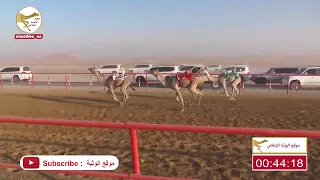 الشوط 10 صايبه لـ حمد محمد بن عويمر الدرعي 1 49 10 شارة الصندوق 2023 04 09 فطامين الرقيعات 