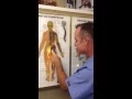 Sciatica Relief Mantua NJ Chiropractor Swedesboro NJ