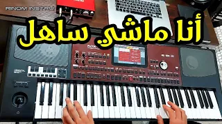 Ana Machi Sahl Instrumental أنا ماشي ساهل موسيقى صامتة 