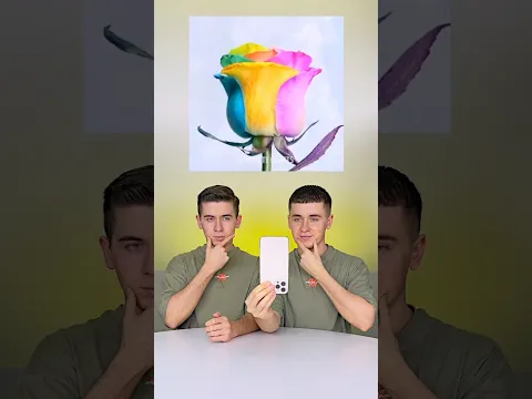 Let’s create a rainbow rose together 🌹🌈✨Wait for the reveal!🌈💐 #diy