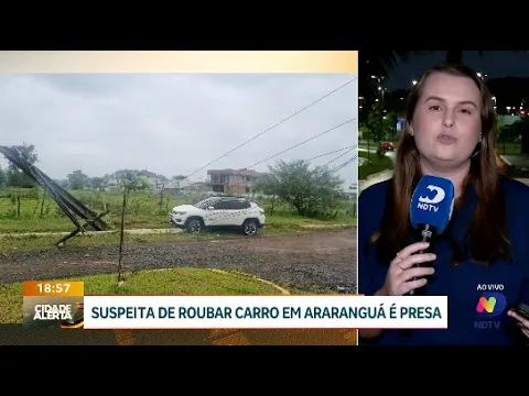 Prisão em Araranguá: mulher de 26 anos roubou carro e bateu em poste