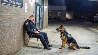 Funniest Police Moments Caught On Camera