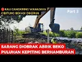 Download Lagu 🔴Gokil‼️Kepiting Bakau Berhamburan Keluar Dikeruk Beko di Kali Cangkring Wanajaya Cibitung Bekasi