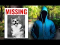 Scammers Are Now Coming After Lost Dogs