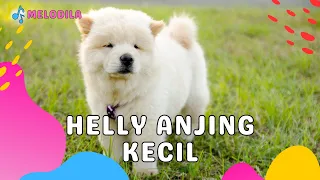 Download 🔴 LAGU ANJING KECIL - HELLY GUK GUK GUK | Lagu Anak Indonesia | Lagu Anak Balita | Lagu anak Terbaru MP3