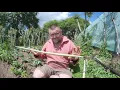Garden hoes and their uses