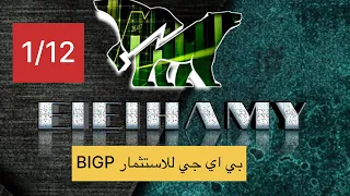 تحليل بي اي جي للاستثمار       البورصة المصرية  دندنها