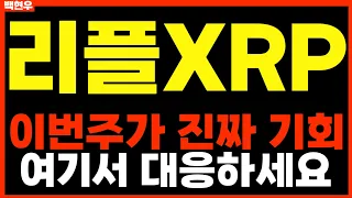 [리플코인 전망] 이번주가 진짜 기회 여기서 대응하세요 *리플홀더 필수시청영상* #리플코인 전망