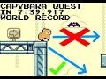 Current World Record - 7 39 917 Capybara Quest