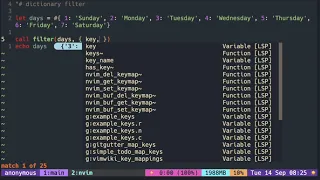 Vimscript Tutorial Dictionary filter