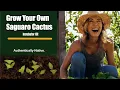How to Grow Saguaro Cactus at Home Easy Step-by-Step Incubator Kit Guide