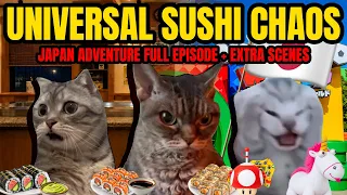 CAT MEMES: THE UNIVERSAL SUSHI ADVENTURE | JAPAN VACATION SPECIALS!!!