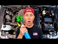 How to SUPER CLEAN your Engine Bay I Tested Everything