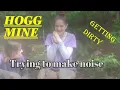 Hogg Mine - Digging for Minerals