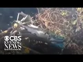 5 Americans among 7 killed in luxury safari helicopter crash in Kenya