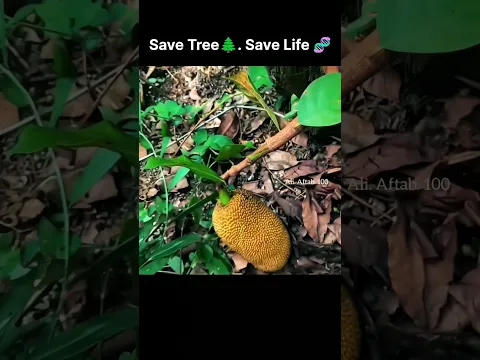 save tree 🌲 | heart touching moment #shortvideo