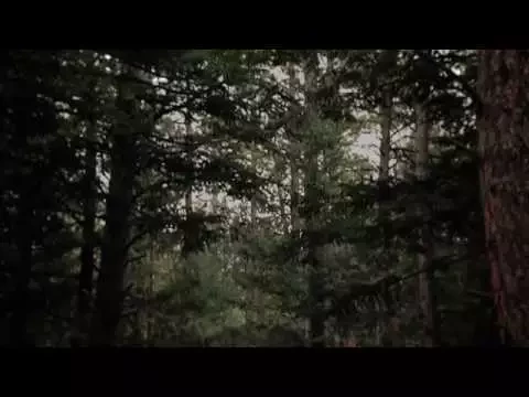 "The Ghosts of Johnson Woods" Movie Trailer