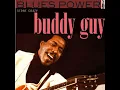 Buddy Guy I Smell a Rat