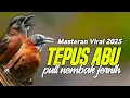 Lagu MASTERAN VIRAL 2025 TEPUS KEPALA ABU NEMBAK JERNIH 