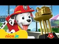 PAW Patrol Marshall Wins a Firefighter Race Nick Jr